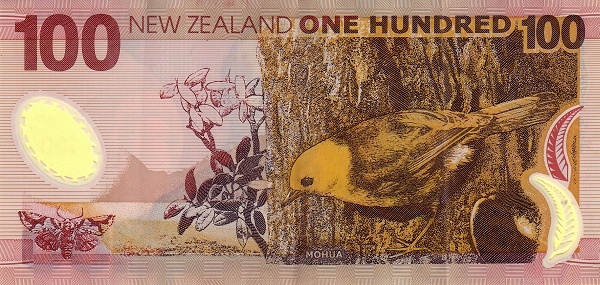  Mohua (yellowhead),  South Island Lichen moth (declana egregia)