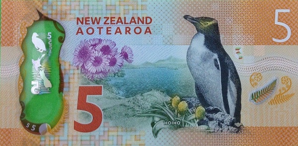  Hoiho  (yellow-eyed penguin)