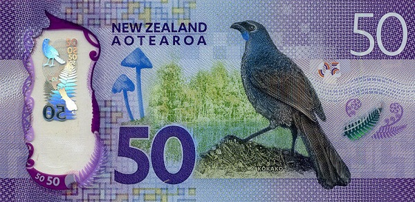Kokako