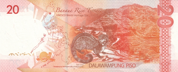  Rice terraces of  Banaue, Asian palm civet (paradoxurus hermaphroditus)