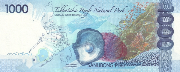  Tubbataha reefs (Sulu  Sea), pearl oyster (pinctada maxima)