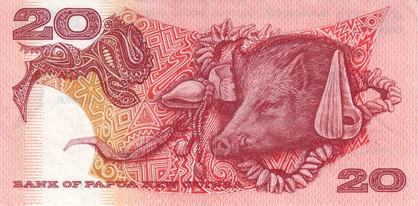  Boar, conches