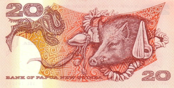  Boar, conches
