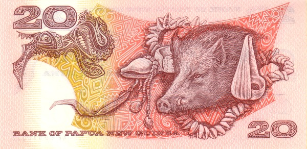  Boar, conches