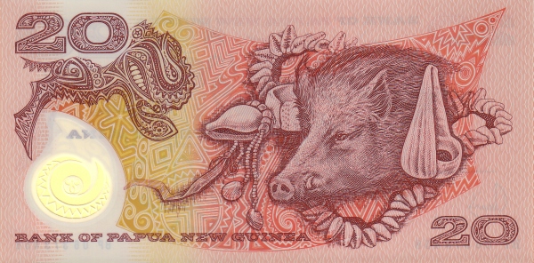  Boar, conches