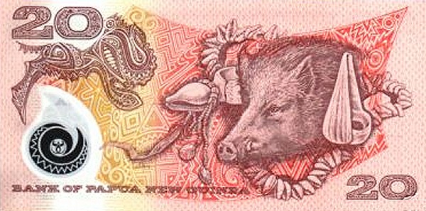  Boar, conches