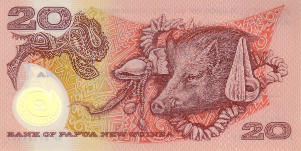  Boar, conches