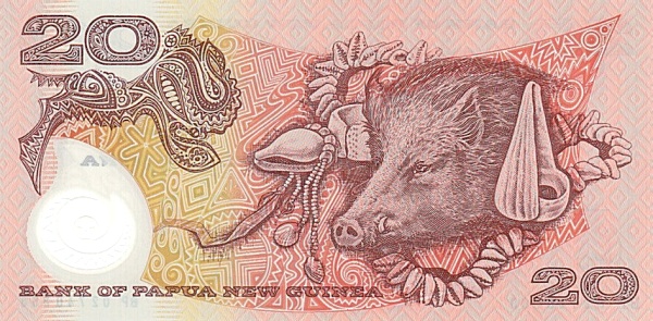  Boar, conches