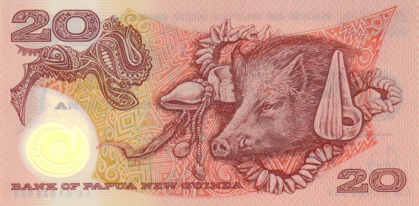  Boar, conches