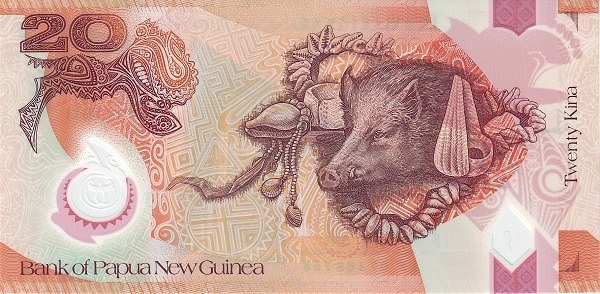  Boar, conches