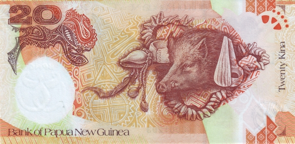  Boar, conches