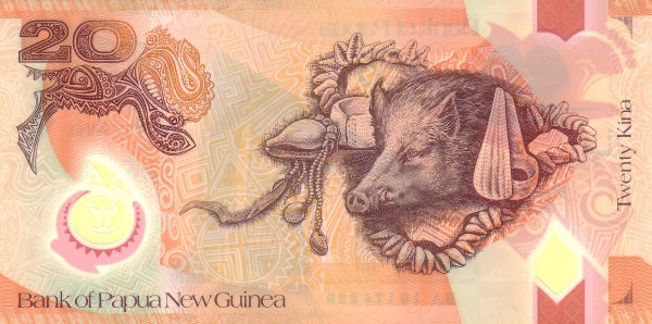  Boar, conches