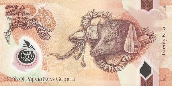  Boar, conches