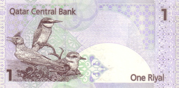  Birds of Qatar  (crested lark, Eurasian bee eater, lesser sand plower)