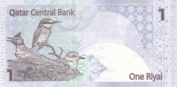  Birds of Qatar  (crested lark, Eurasian bee eater, lesser sand plower)