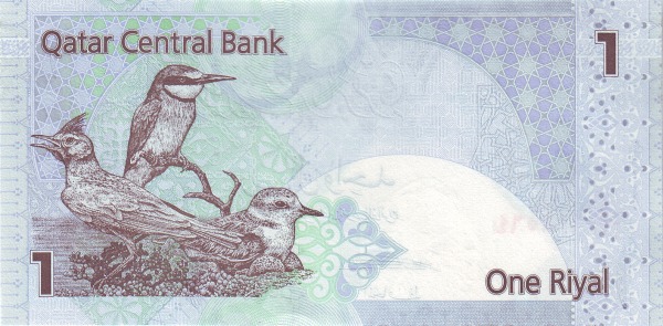  Birds of Qatar  (crested lark, Eurasian bee eater, lesser sand plower)
