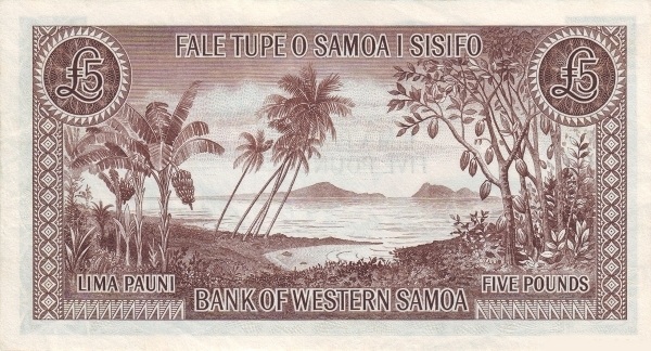  Palm trees
