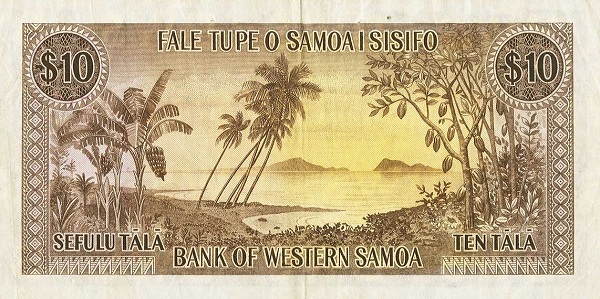  Palm trees
