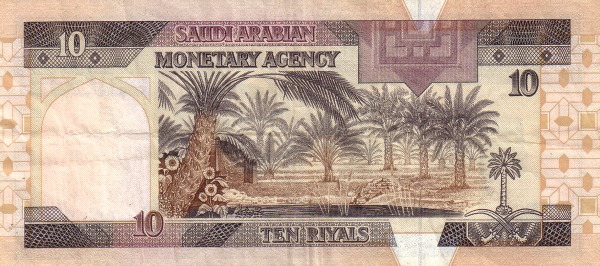  Palm trees