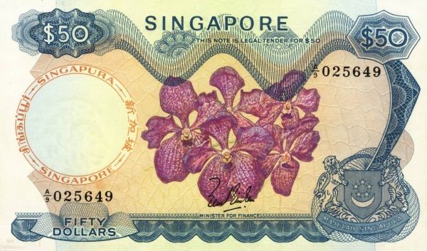  Vanda  Rothschildiana orchid,  arms