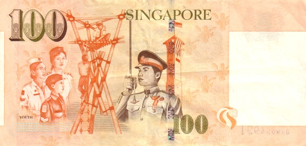  Youth (Members  of the Singapore Red Cross, St. John's Ambuilance Brigade, National Police  Cadets Corps, Boy Scouts and National Service; tower of Safti Military  Institute)