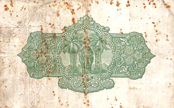  Elephant