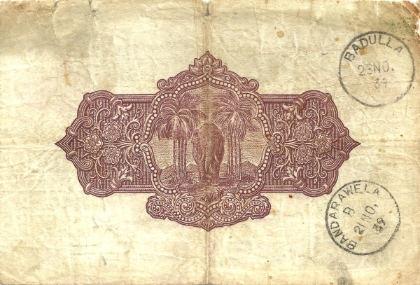  Elephant