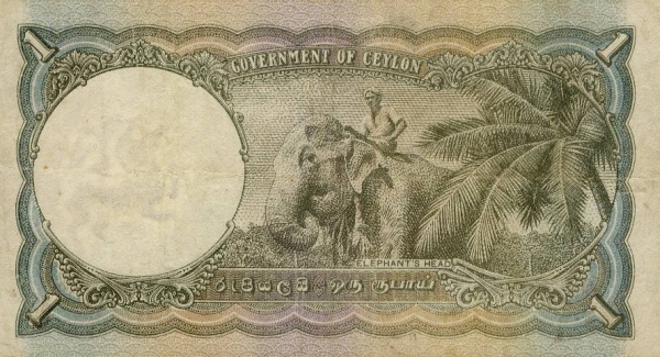  Elephant