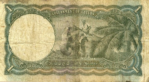  Elephant