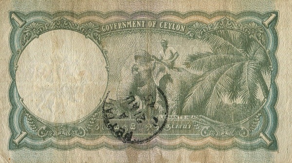  Elephant