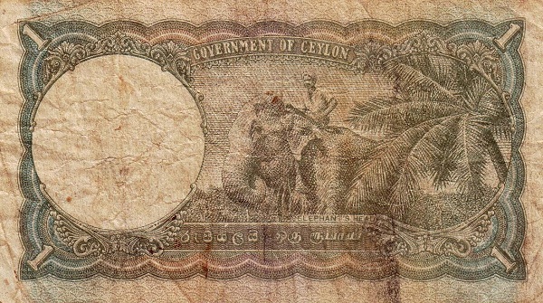  Elephant