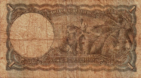 Elephant