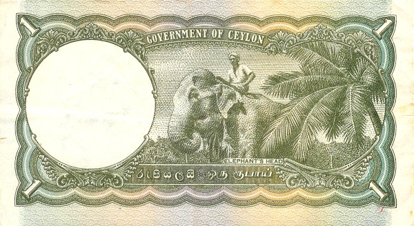  Elephant