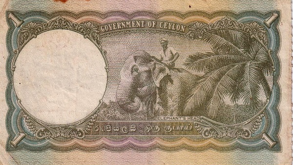  Elephant