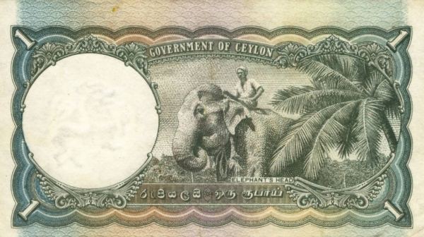  Elephant