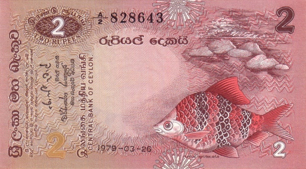  Fish (puntius  nigrofasciatus