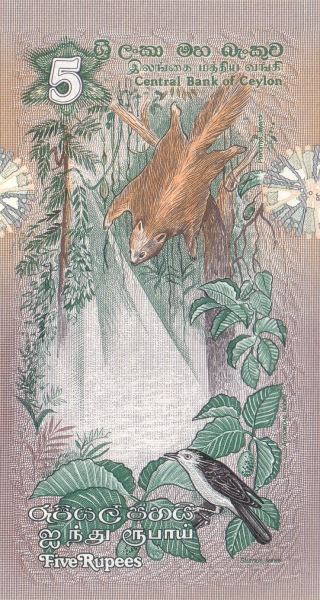  Flying squirrel  (pteromys layaidi), bird (sturnus senex)