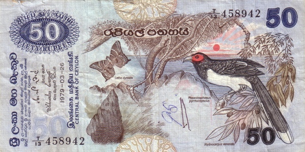  Red-faced  malcoha (phaenicophaeus pyrrhocephalus), Ceylon Forester butterfly (lethe dynsate), plant  (hydrocarpus venenata)