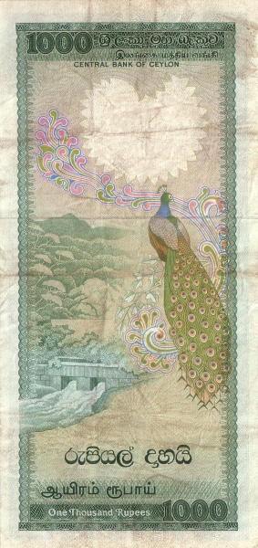 Hydroelectric  dam, peacock