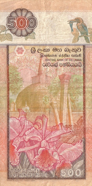  Abhayagiri Stupa  (Anuradhapura), orchids