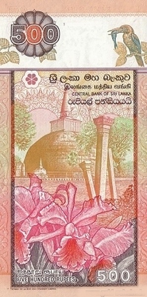 Abhayagiri Stupa  (Anuradhapura), orchids