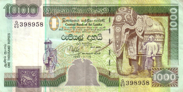  Elephant with trainer
