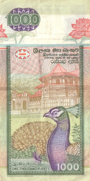  Temple of the  Tooth, Kandy; peacock