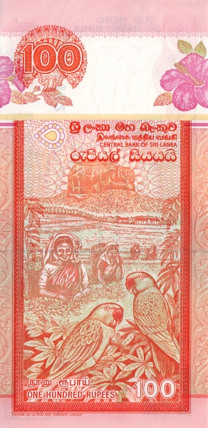  Sigiriya rock, Tea  harvest, rose-ringed parakeets