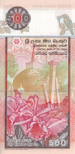  Abhayagiri Stupa  (Anuradhapura), orchids
