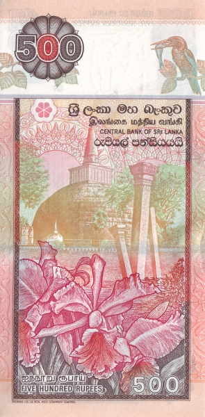  Abhayagiri Stupa  (Anuradhapura), orchids