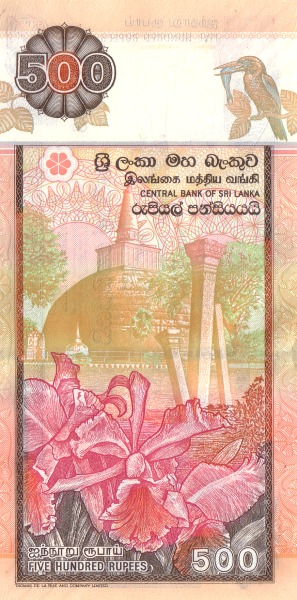  Abhayagiri Stupa  (Anuradhapura), orchids
