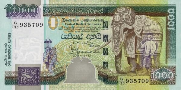  Elephant with trainer