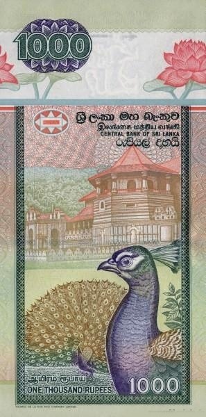  Temple of the  Tooth, Kandy; peacock