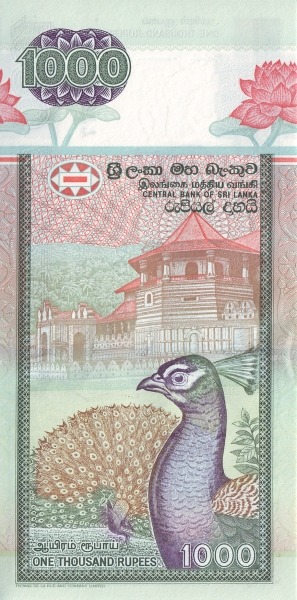  Temple of the  Tooth, Kandy; peacock